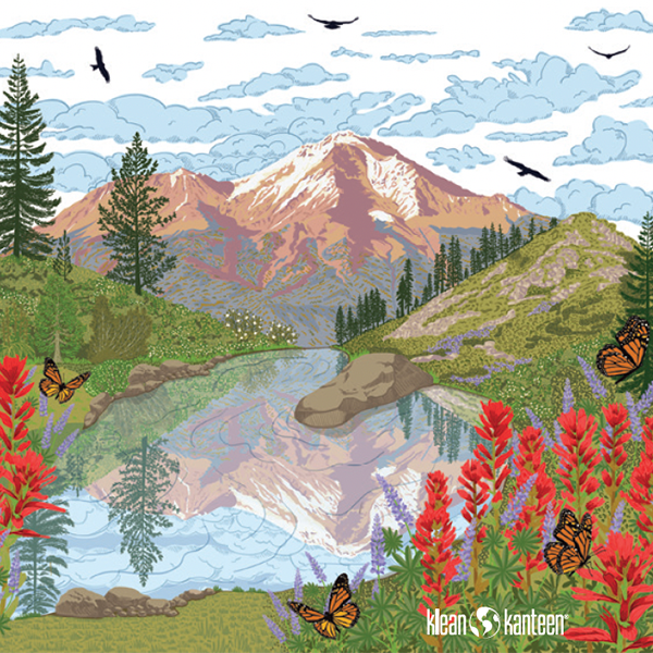 20oz TKWide with Twist Cap – Heart Lake