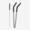 Straw 2-Pack with Brush – Black