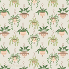 20oz TKWide with Twist – Hanging Plants